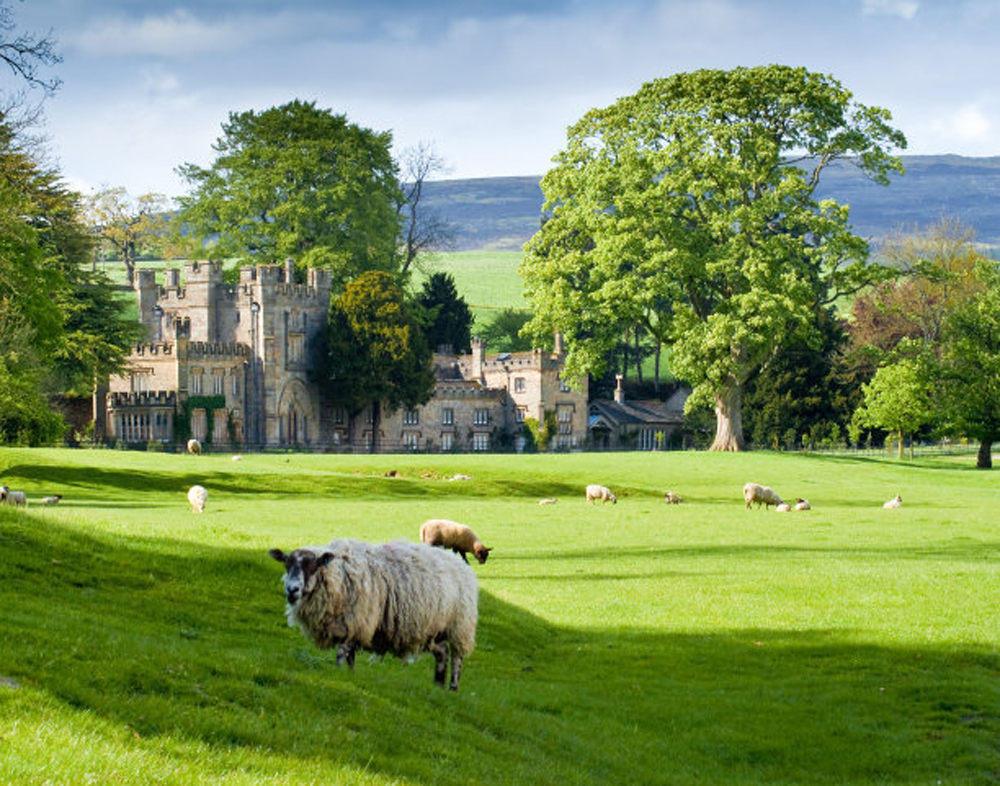休闲农业发展新趋势庄园经济如何开发