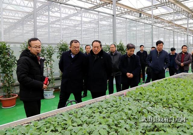 市委对武山县市管领导班子和领导干部进行考核