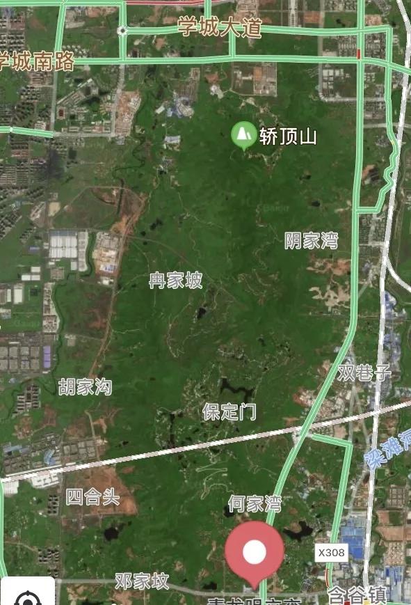 中央公园落后了,重庆高新区将建设全世界最大的公园_科学