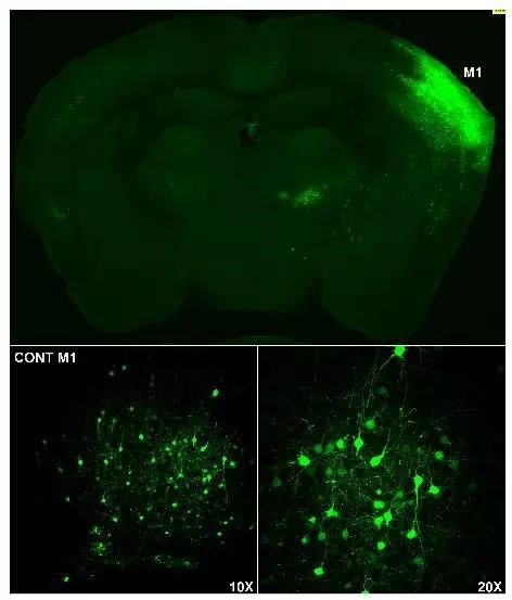 吉凯年度优秀作品集锦来啦