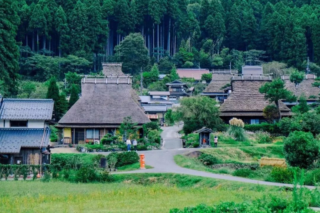 日本托老所美山町以广大的森林及美山川为背景,尽是田园风光与茅草屋