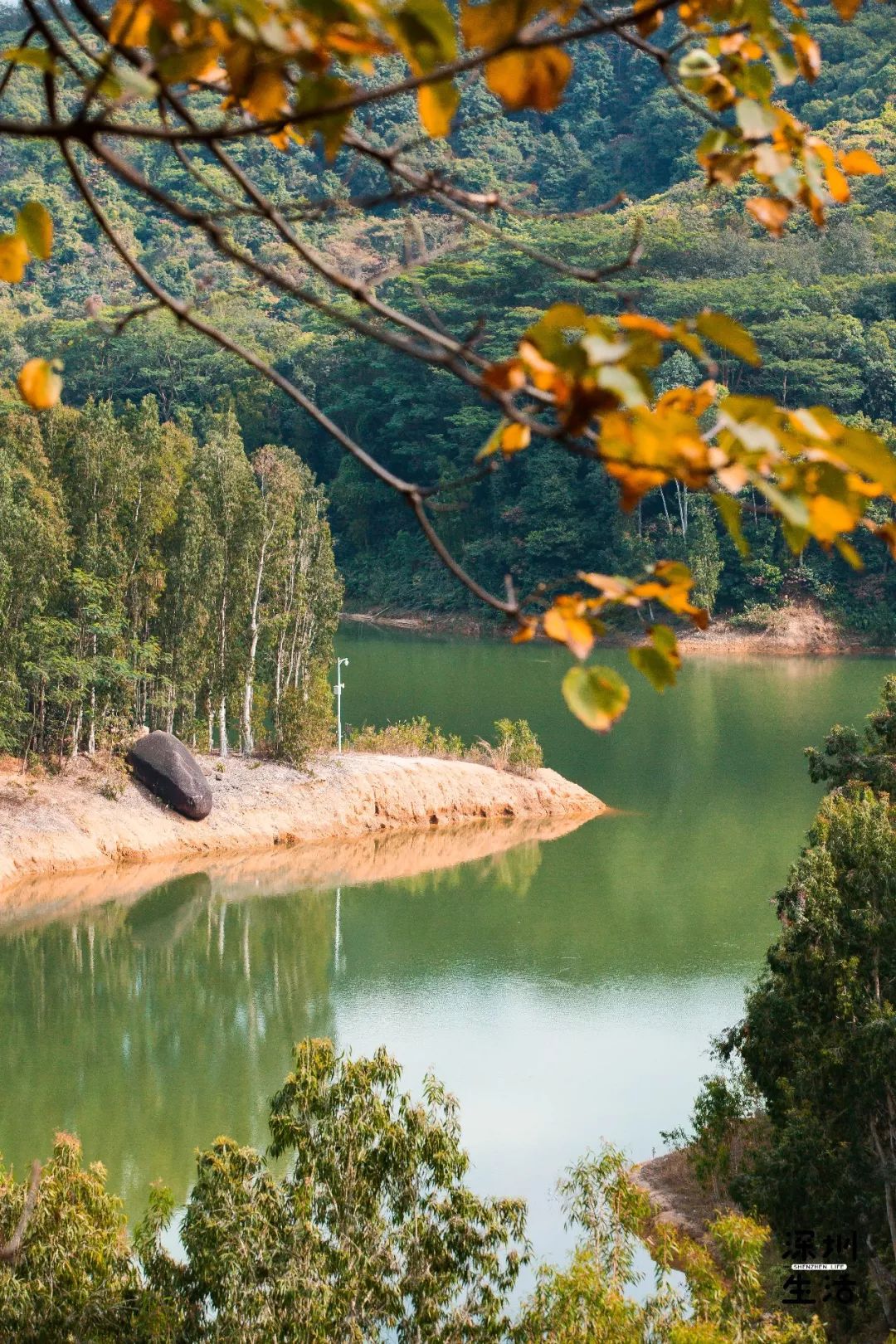 竹林秘境,水庫溪谷.18個景點玩一整天!_台山