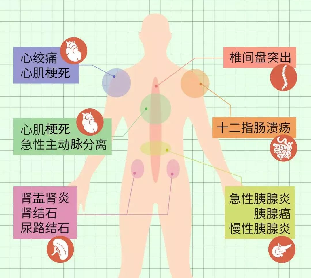 人体脏器疼痛信号内脏图片