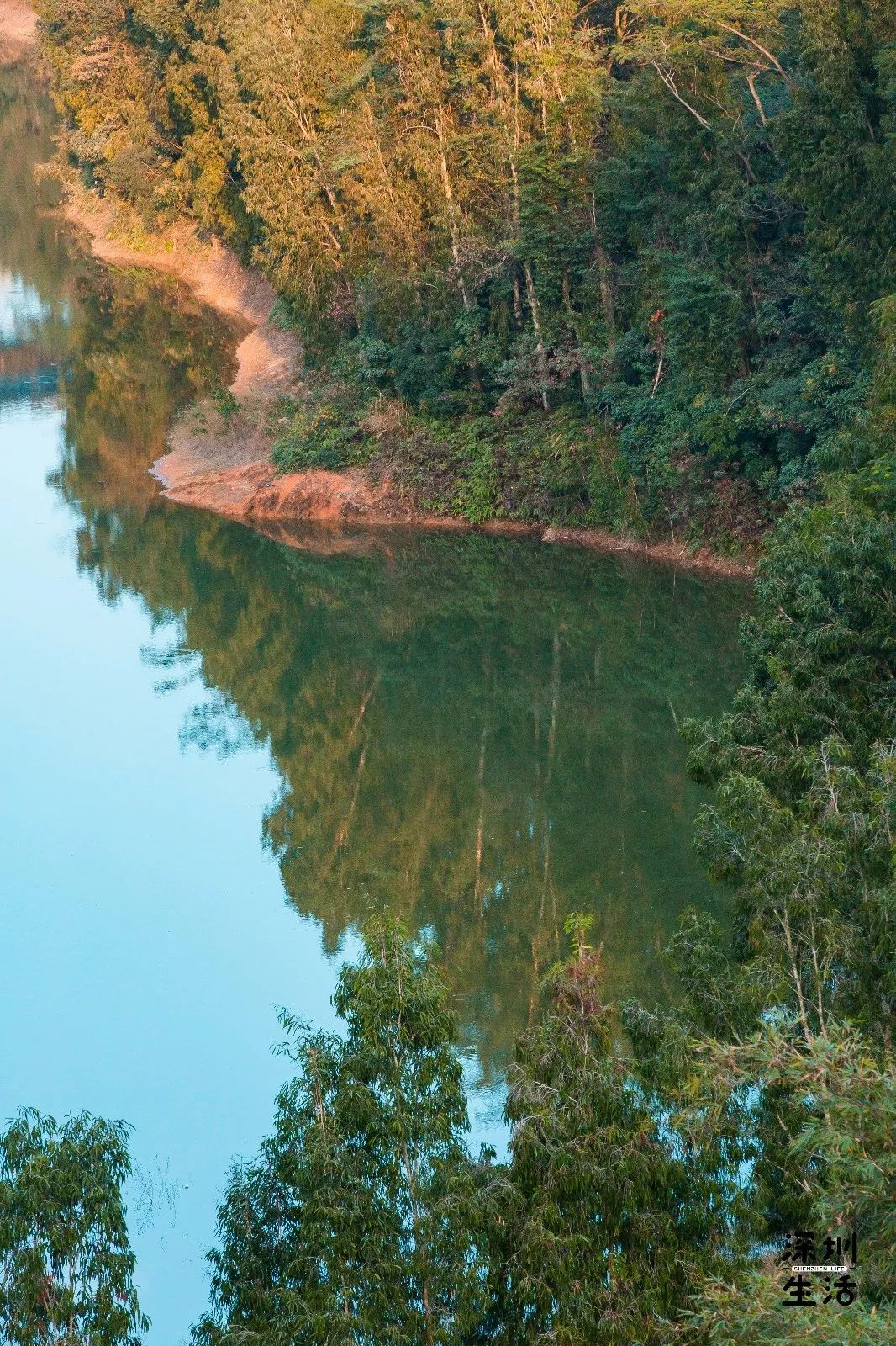 绿道途径羊台山森林公园,串联起赖屋山,冷水坑,高峰三大水库.