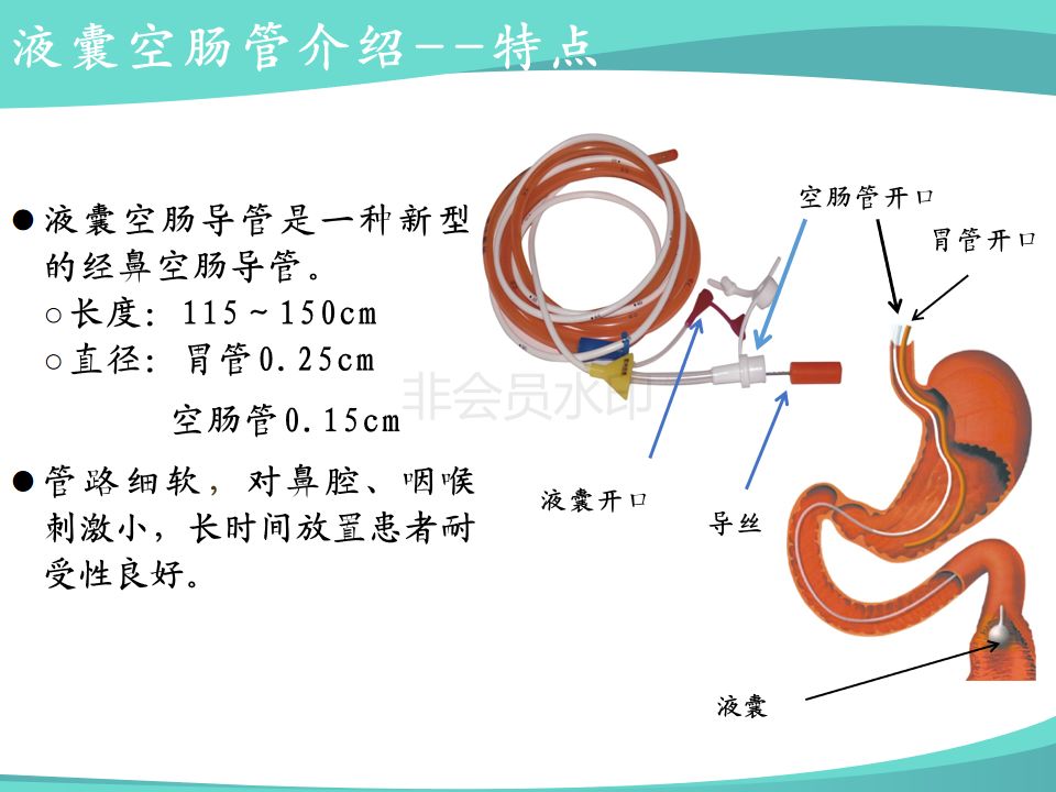 ppt重症胰腺炎患者腸內營養治療的方式與護理