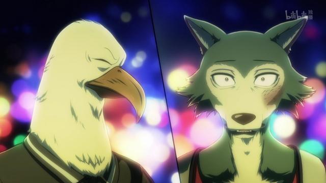 关于beastars食杀事件真凶的推测雷格西同伴之一青叶嫌疑最大