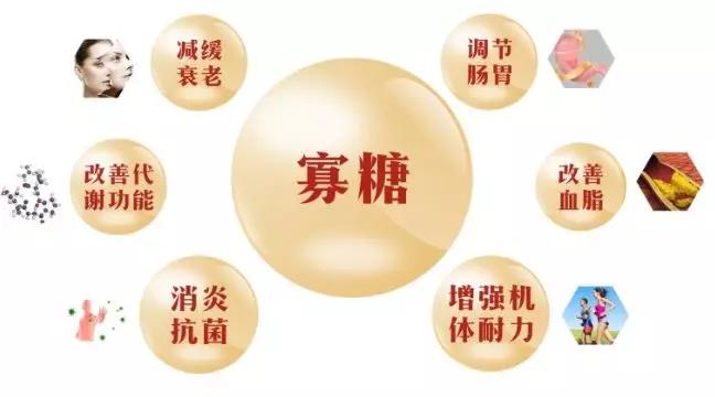 寡糖是什么牦牛奶有什么功效与作用