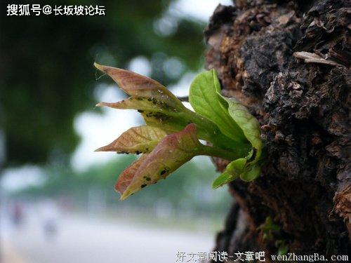 来源:文章吧 生活中,人是不能没有希望的,如果一旦希望破灭,人的精神