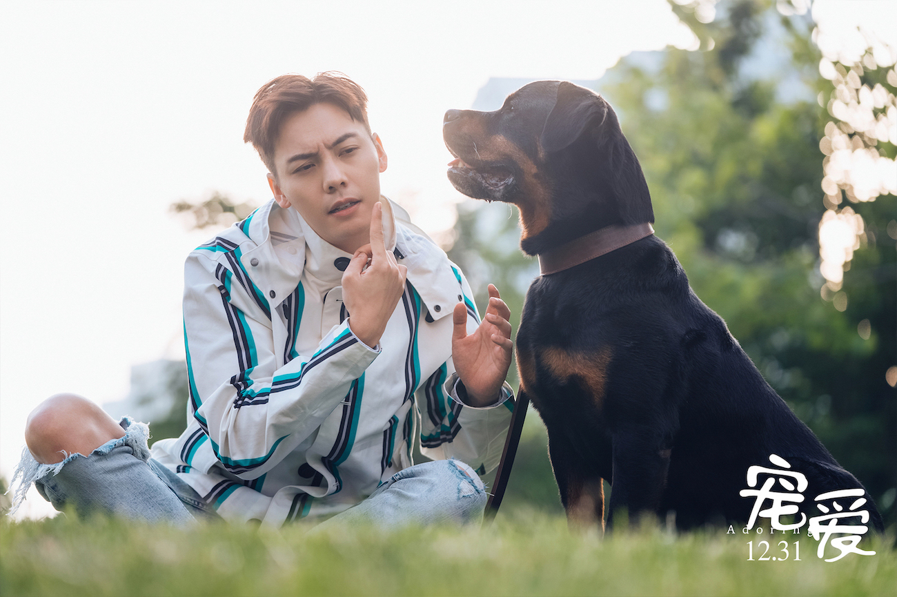 宠爱终极预告上演最治愈2分钟11主演笑着告别2019