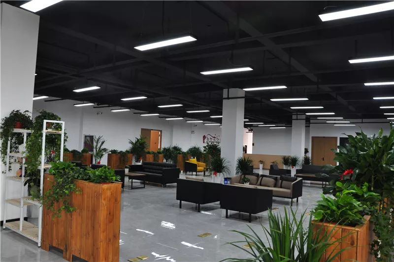 温州又添创业新地标!温州市大学生创业园开园