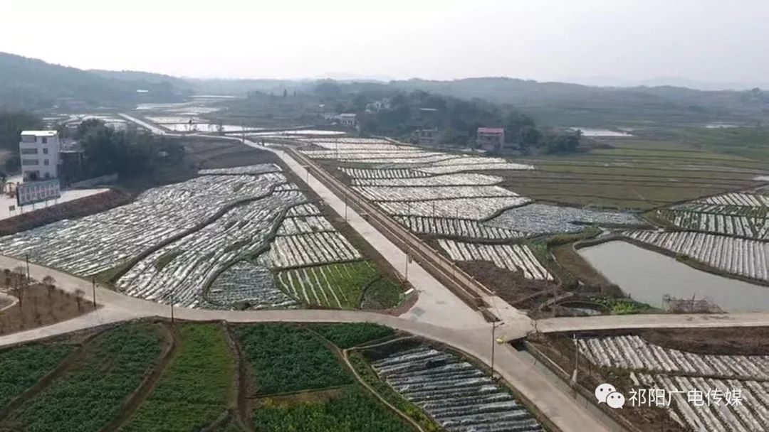 精准扶贫在祁阳文明铺镇新塘角村扶贫产业变致富门路