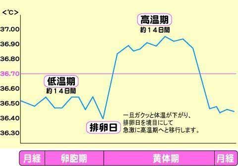 根据分泌物确定排卵期