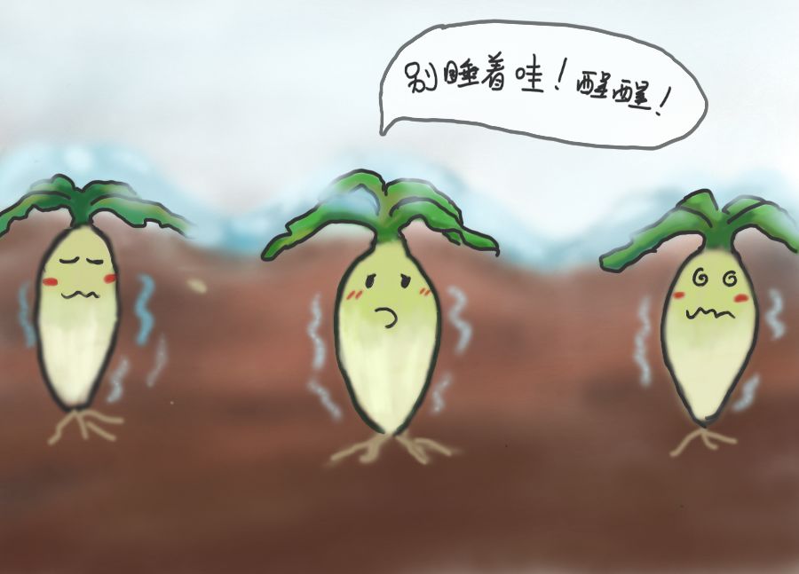 假如植物会说话——水果 萝卜,我是你的菜么