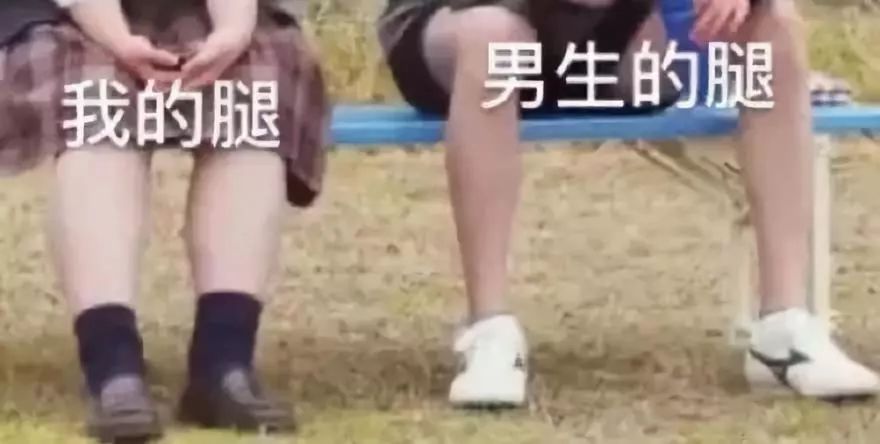 史上最沙雕的的10张图
