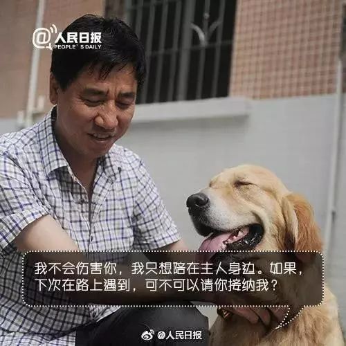 導盲犬坐地鐵被騷擾，這個舉動引來全網熱議... 寵物 第24張