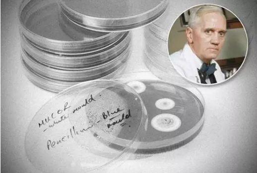 弗莱明发明青霉素佩西才是最早发现青霉素医学效果的人