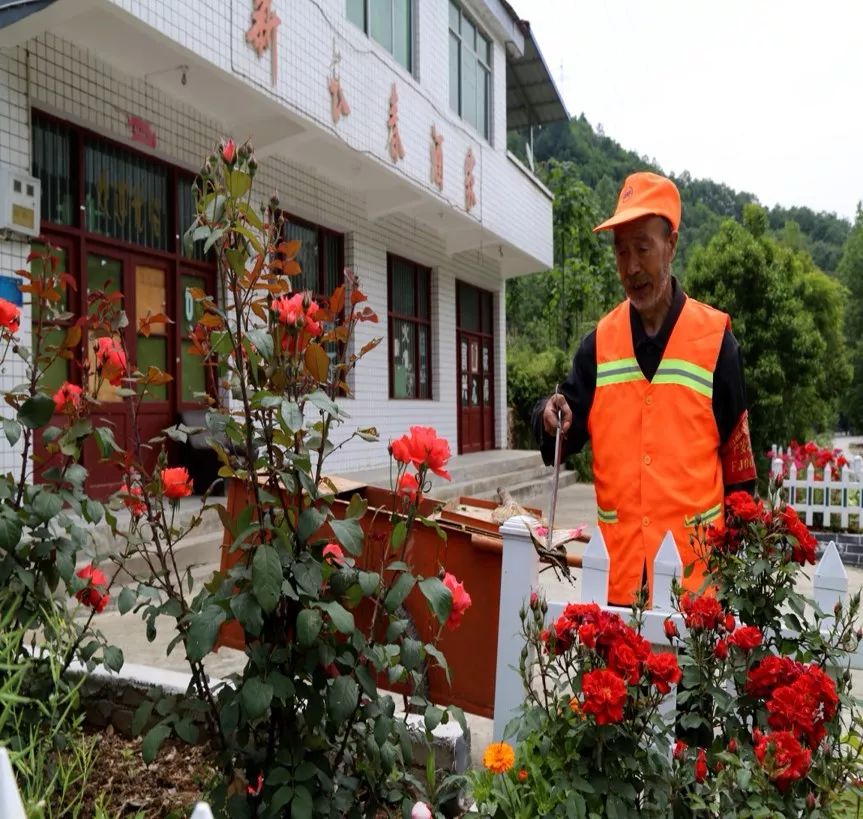 留坝通过县级定方向,出政策,抓统筹,镇办落实主体主责,村组发动群众