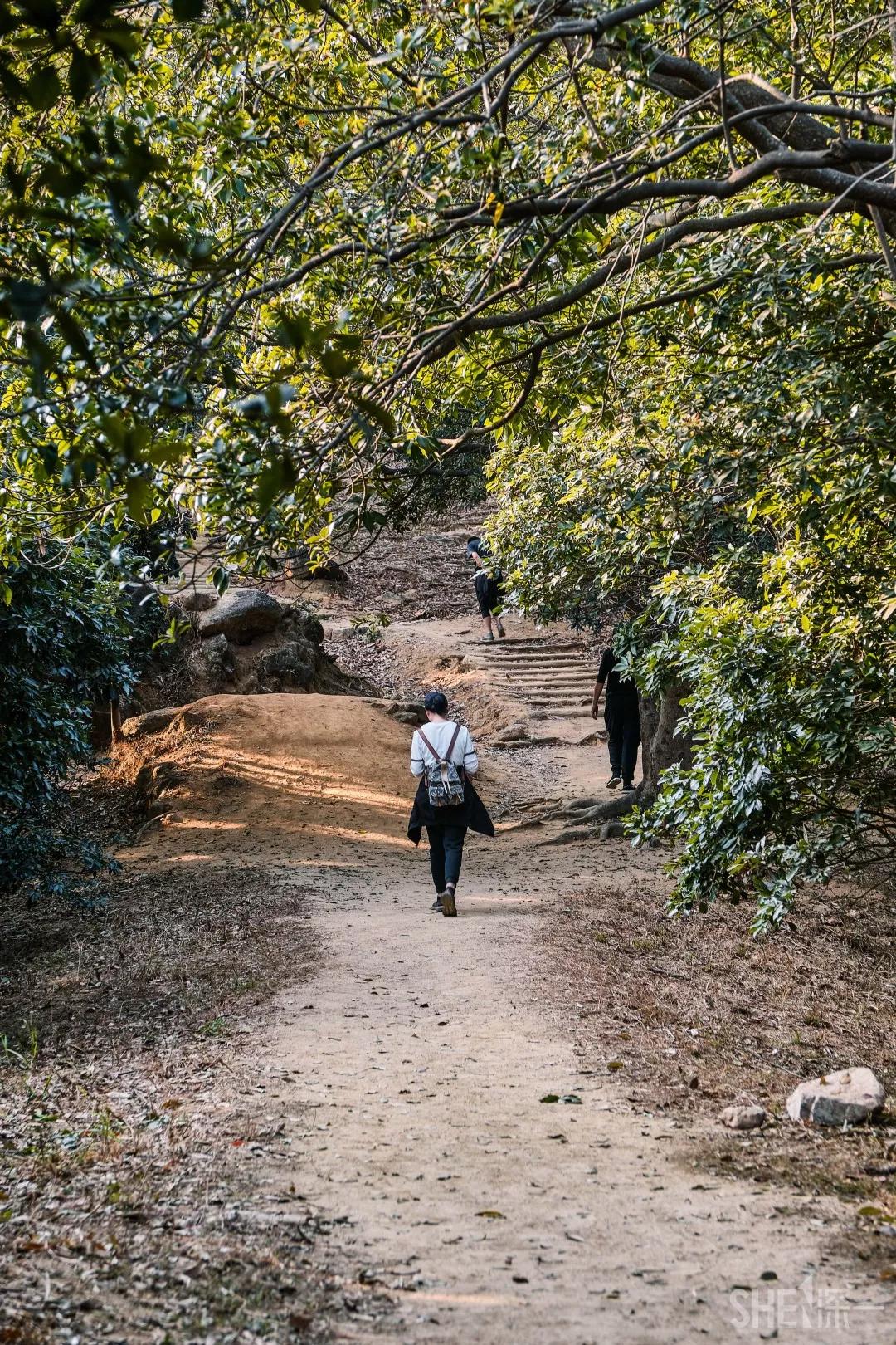 深圳极少人知道的"原始登山道",比梧桐山神秘!比羊台山有趣!