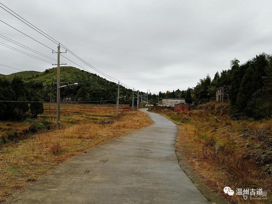 望洲山和垟村到下李村的机耕路1.