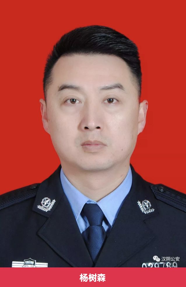 是真的!_杨树森