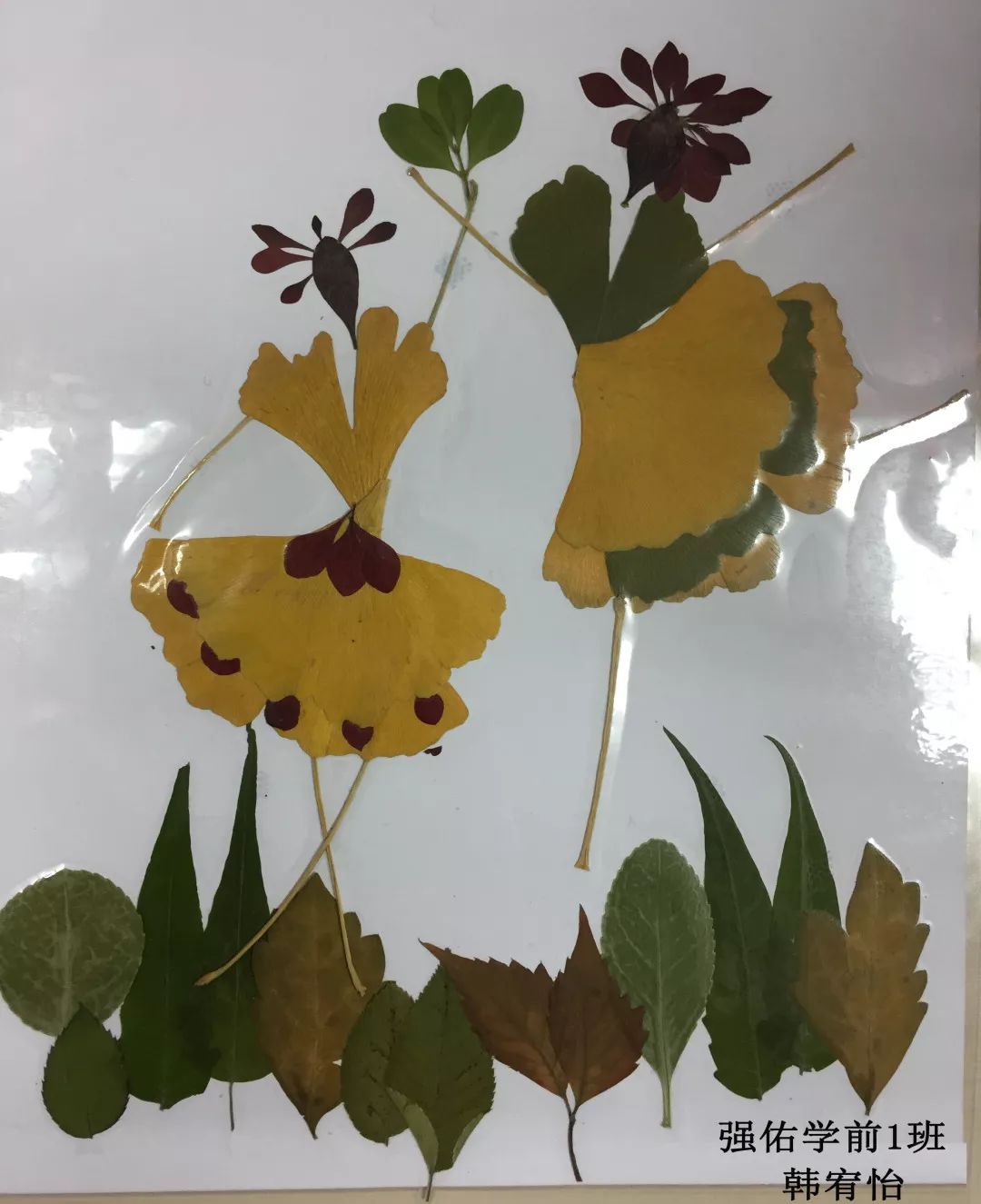 顺天府学学前部2019年大手拉小手与秋叶共舞亲子叶画制作大赛评比揭晓