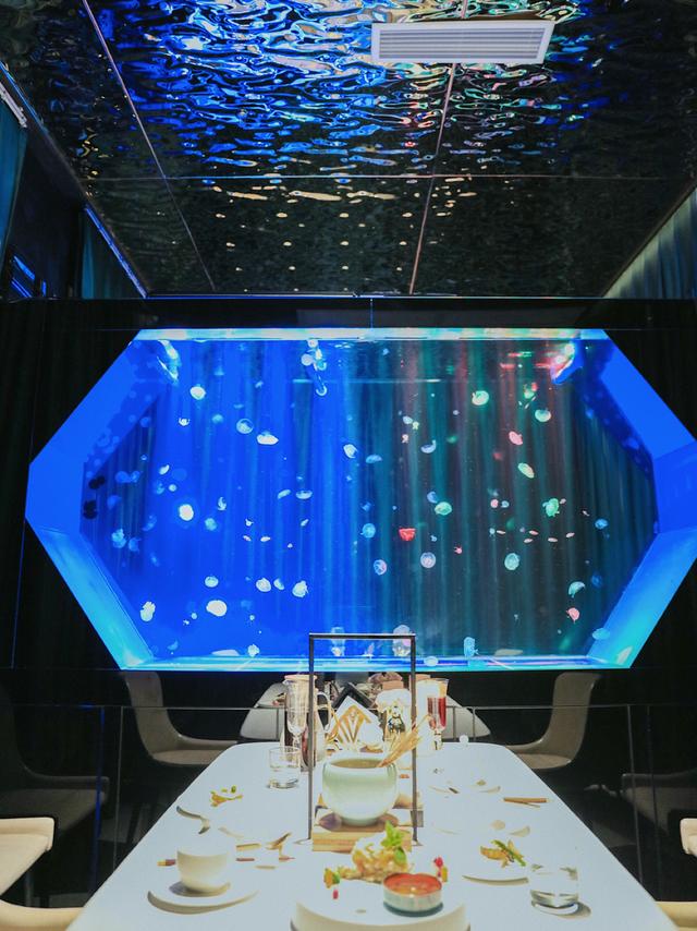 成都探店|超浪漫的水母餐厅,成都也有了