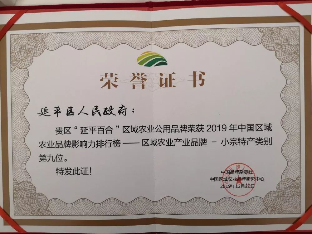 花卉排行榜_“延平百合”荣获中国区域农业品牌影响力排行榜小宗特产第九位