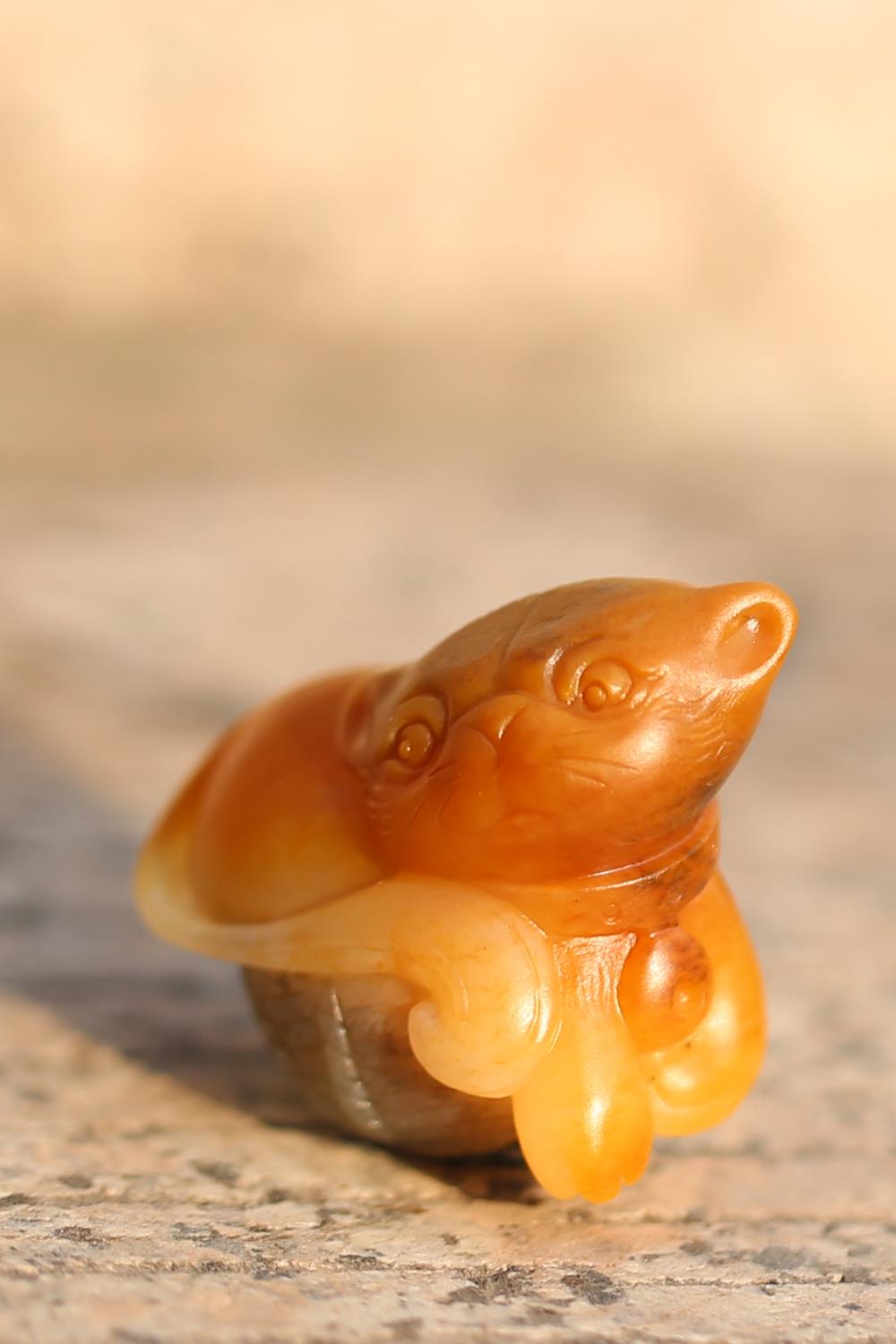 匠工玉猫萌态十足