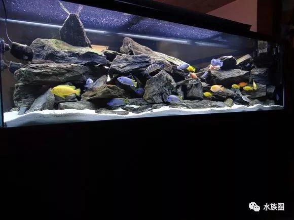鱼缸造景超长视频_水草鱼缸造景教程视频_孔雀鱼鱼缸造景视频