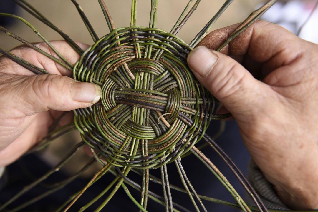 软细,韧拉性强,徽州山民上山砍柴时,常常就近割下葛藤用来捆挷柴草