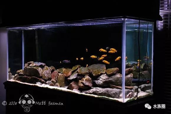 孔雀鱼鱼缸造景视频_水草鱼缸造景教程视频_鱼缸造景超长视频