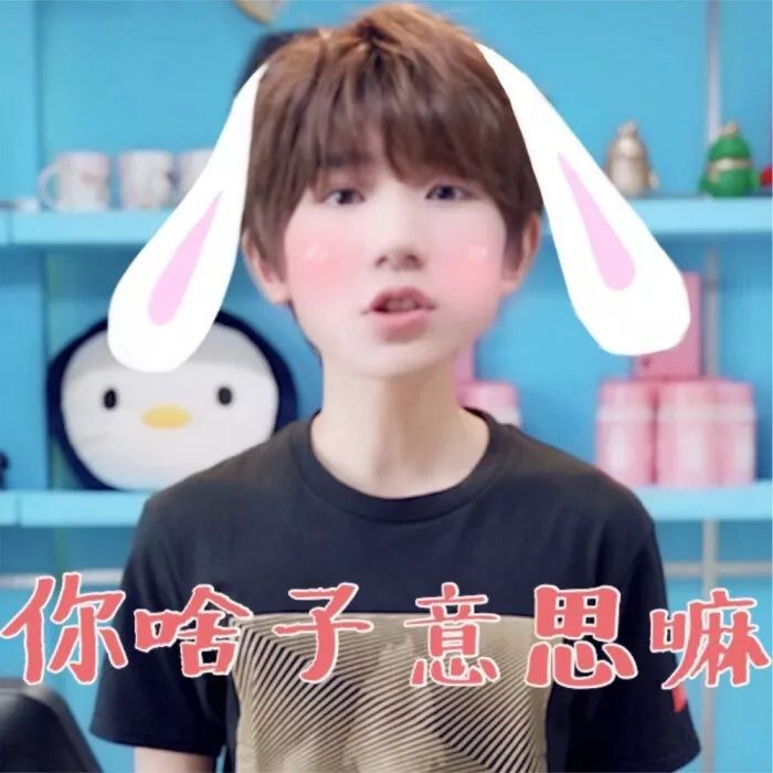 tfboys微信聊天表情包