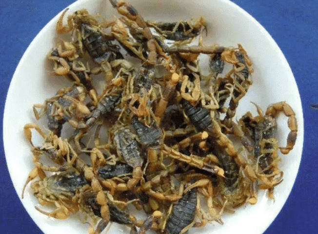 但是陈大爷直接抓起蝎子就生吃,陈大爷觉得生吃保留了原汁