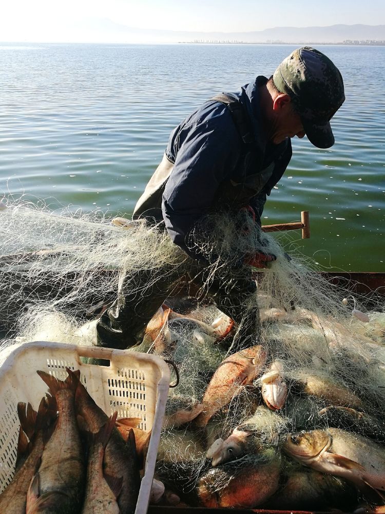 我眼前的这位劳作中渔民师傅很骁勇,他就像一位武士,在渔船这个舞台上