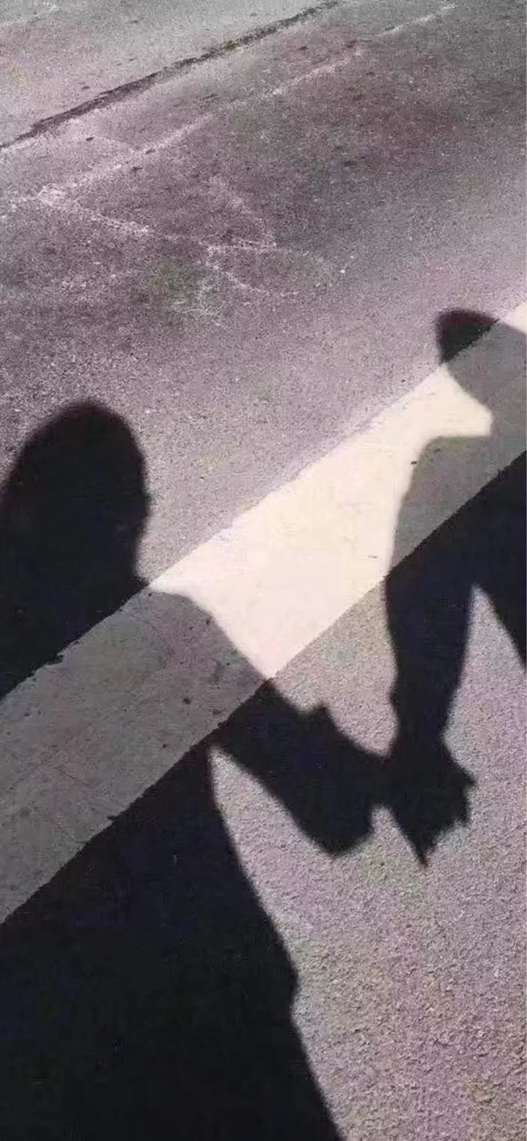 壁纸你来我热情相拥你走我坦然放手