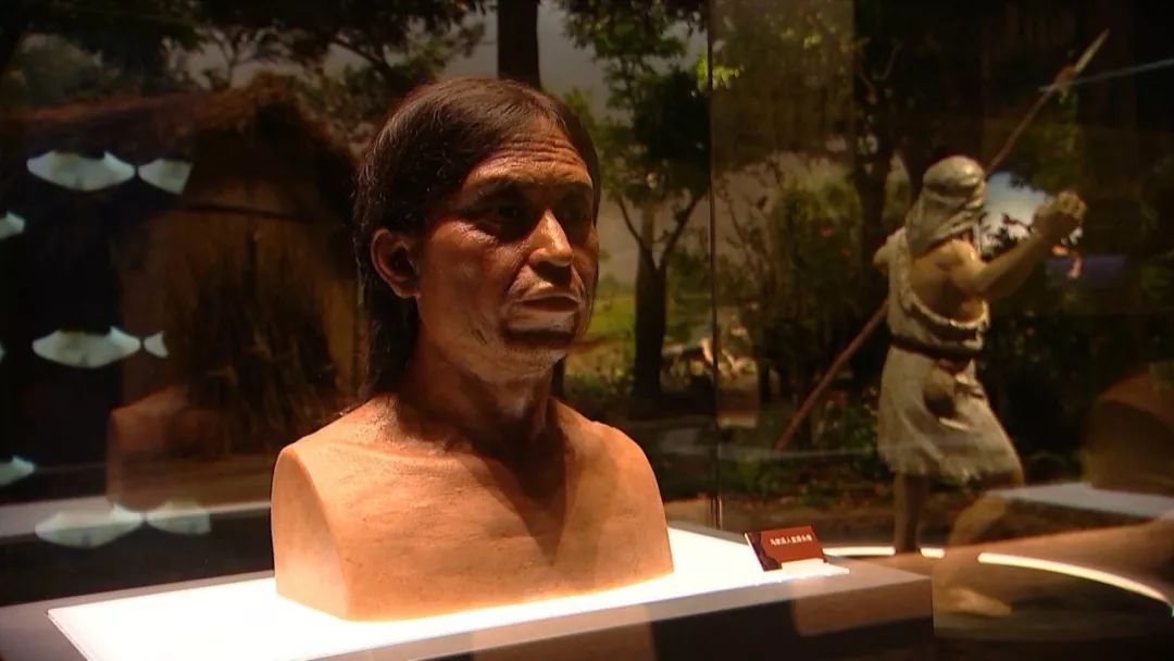 浙江省文物考古研究所资深研究员 王明达:这是一个头骨,跟现代人已经