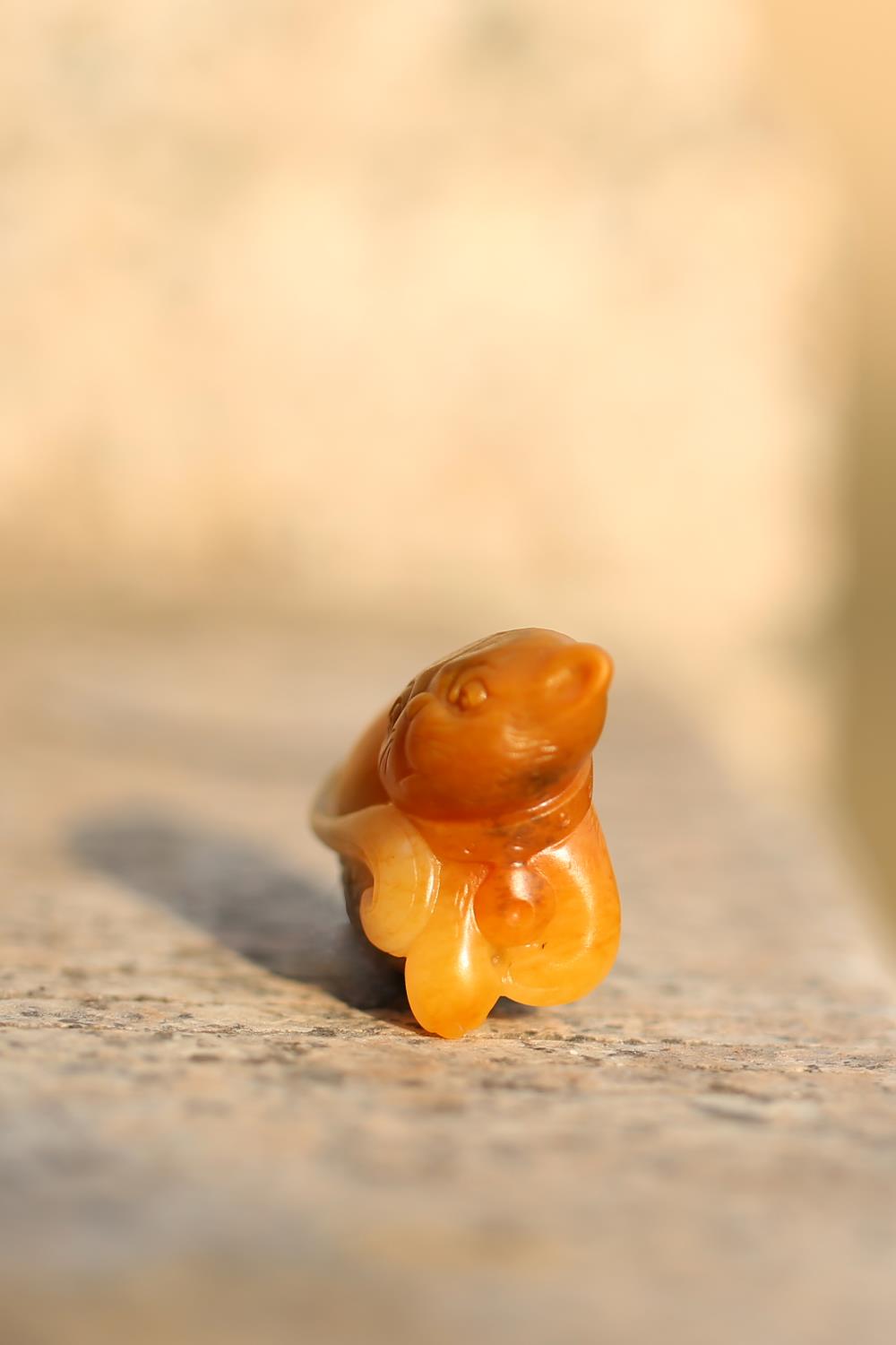 匠工玉猫萌态十足