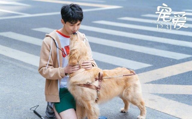 吴磊宠爱首映礼再现绅士手细心温暖惹人赞从小到大好教养