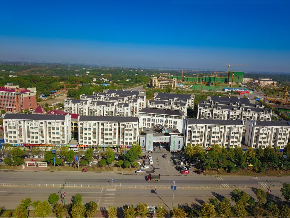 看长龙!我们7周年了