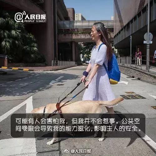 導盲犬坐地鐵被騷擾，這個舉動引來全網熱議... 寵物 第22張