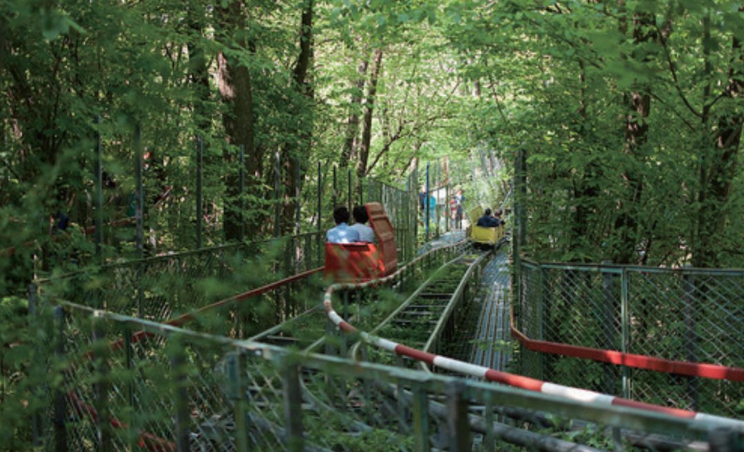 他用40年,手工打造了一个森林游乐场
