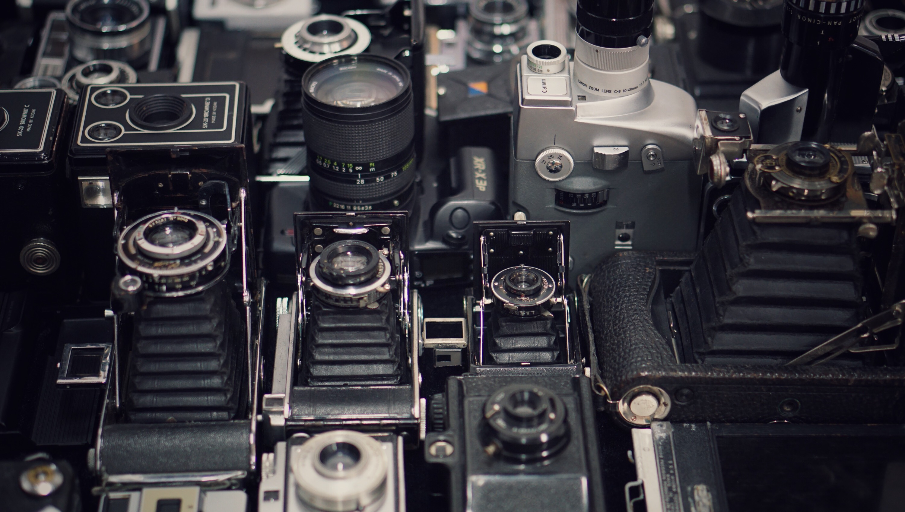 我店里来了位老人,逼我找40年前的老照片