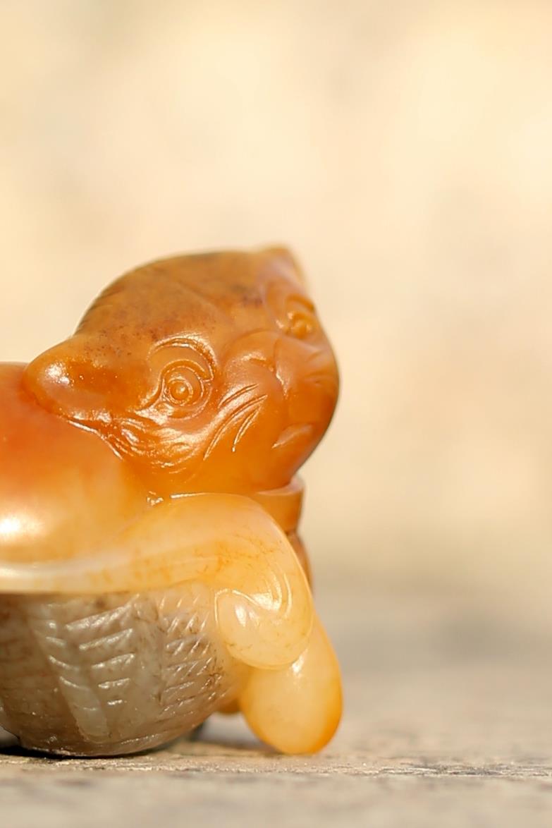 匠工玉猫萌态十足