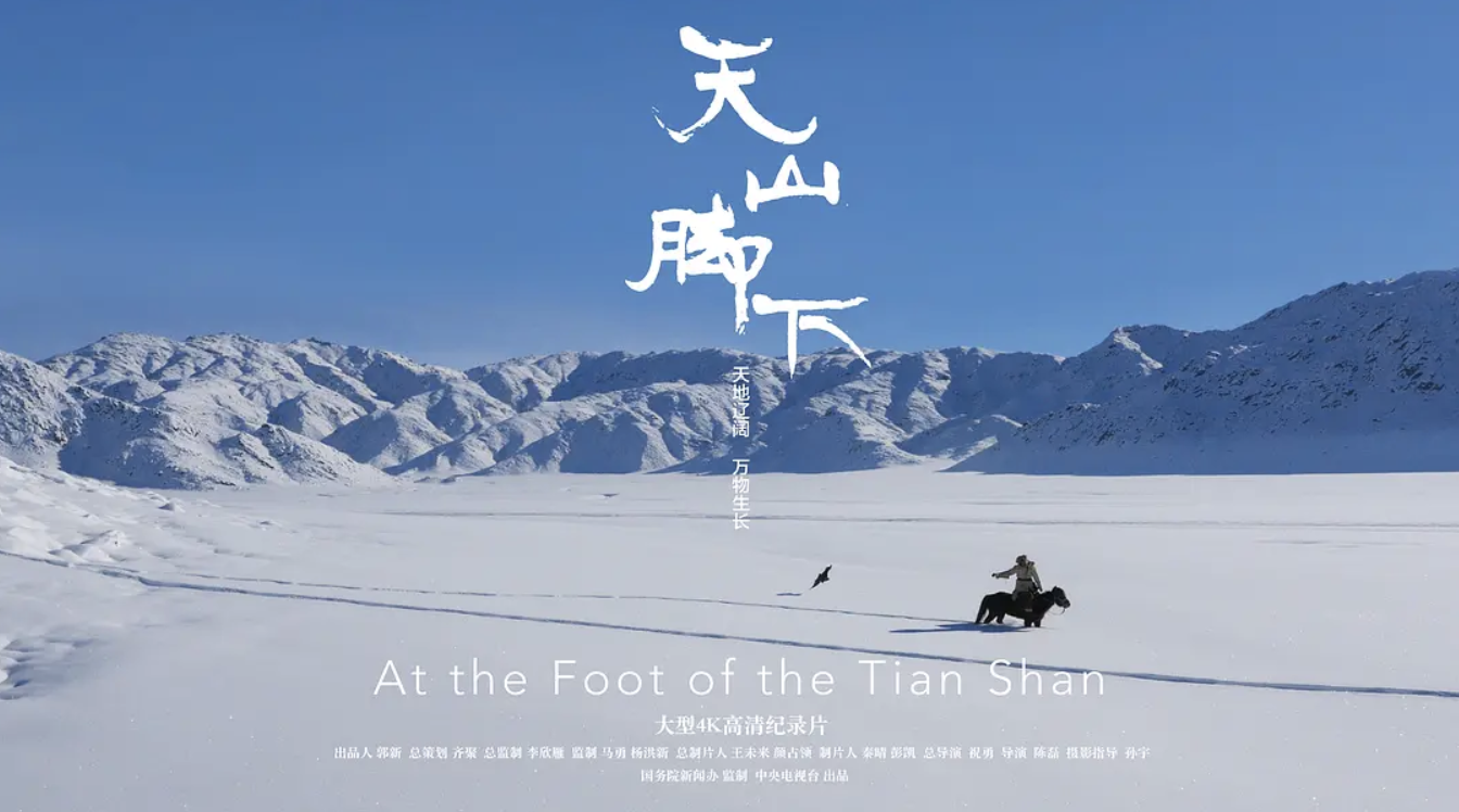 拍的太美了最好的新疆旅游宣传片