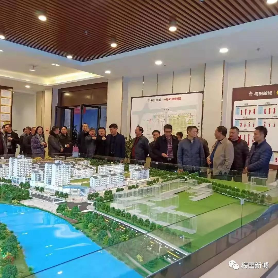 宜章县委书记视察梅田新城并指示抓紧搬迁农贸市场