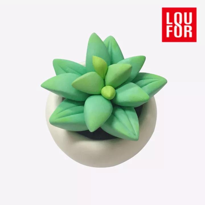 4-10岁教程|超轻粘土又出新的多肉植物啦!一定萌翻你!