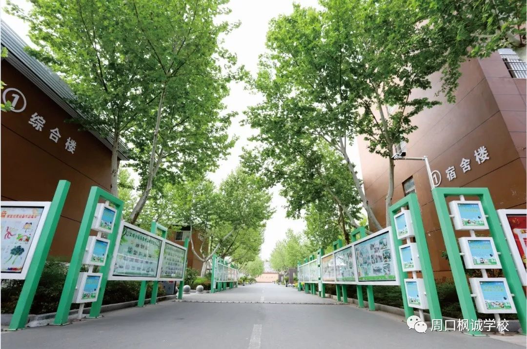 枫诚学校招收春季"插班生"啦~_周口