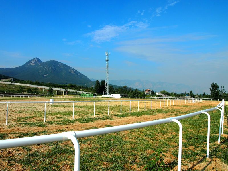 登封嵩皇体育小镇拓展训练基地/登封周边基地/登封户外拓展团建,会议