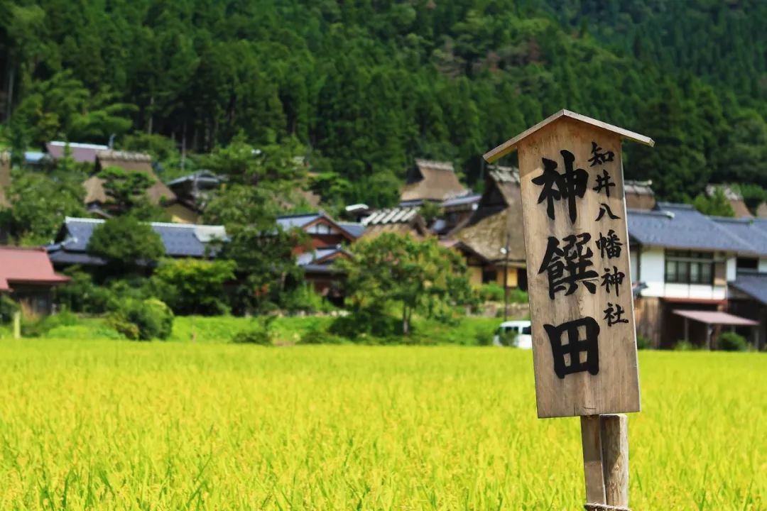 日本最美鄉村距離京都15小時的世外桃源