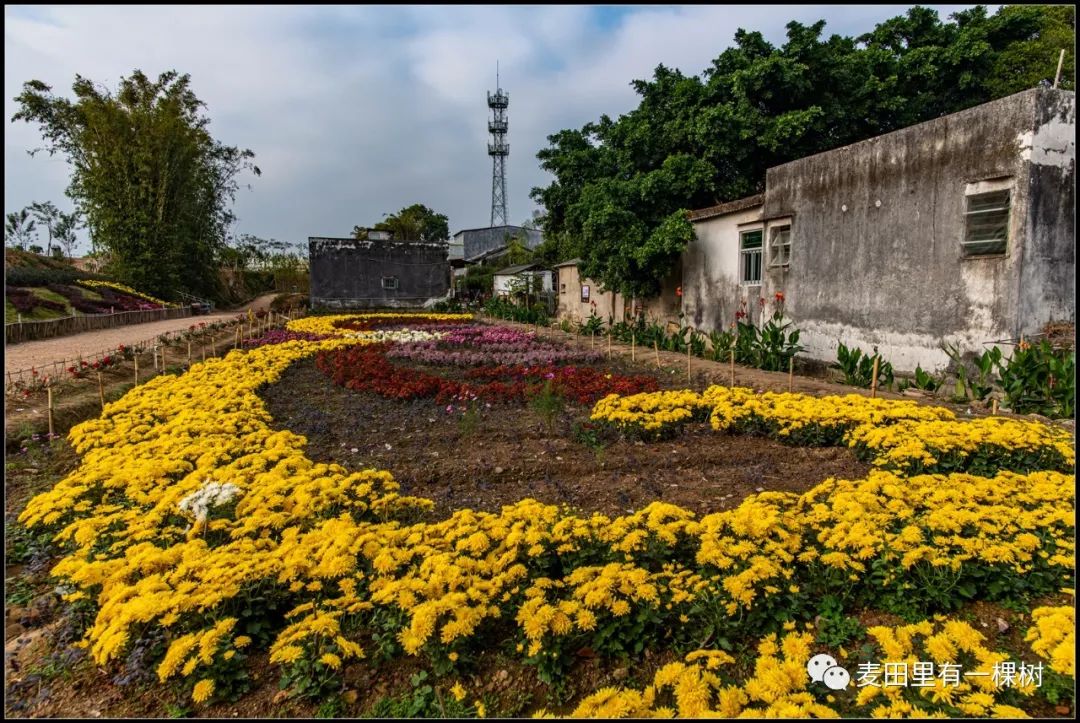 菊池村新景点图片